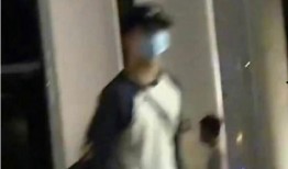 狗仔爆料内娱新恋情视频,甜蜜视频曝光，明星情侣甜蜜互动引热议