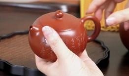 西施最新爆料新闻视频,揭秘背后惊人真相！