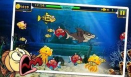 饥饿鲨2最新鲨鱼爆料,最新鲨鱼种类大曝光，海洋霸主再升级！